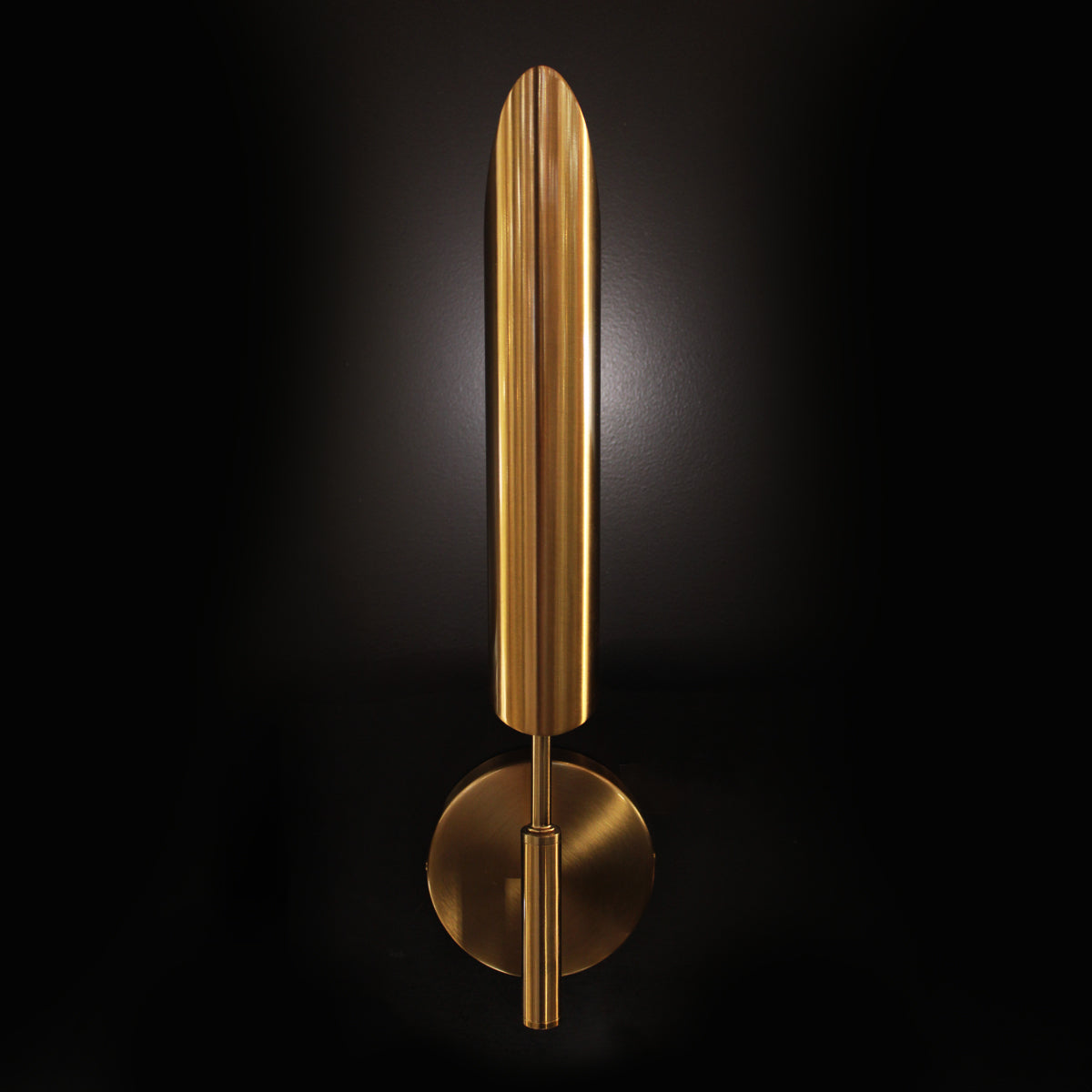Feather Brass Wall Light