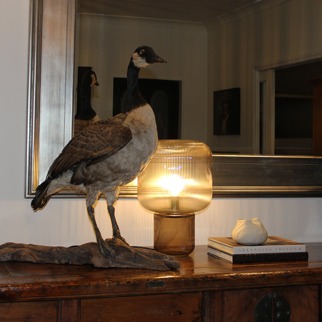 RidgeTableLamp_Living_Murano Plus lighting NZ