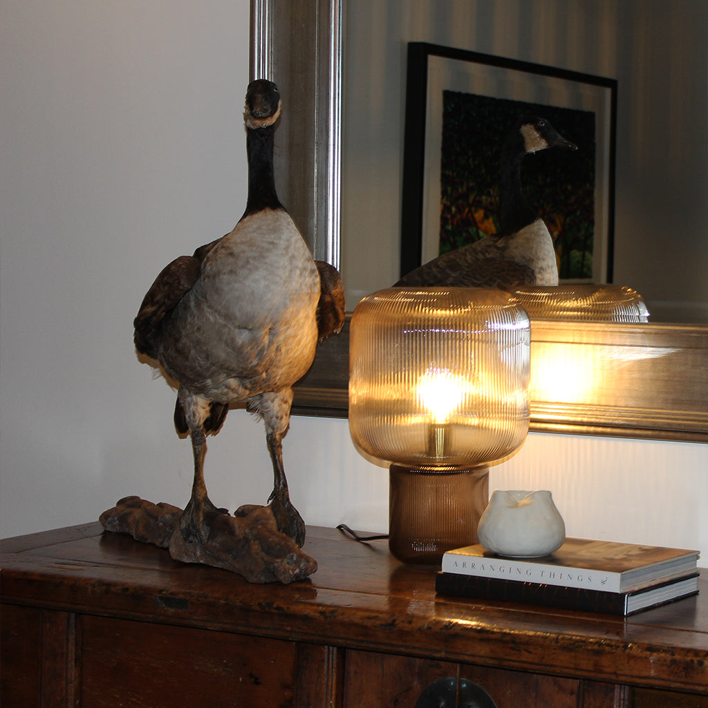 RidgeTableLamp_Living_Murano Plus lighting NZ