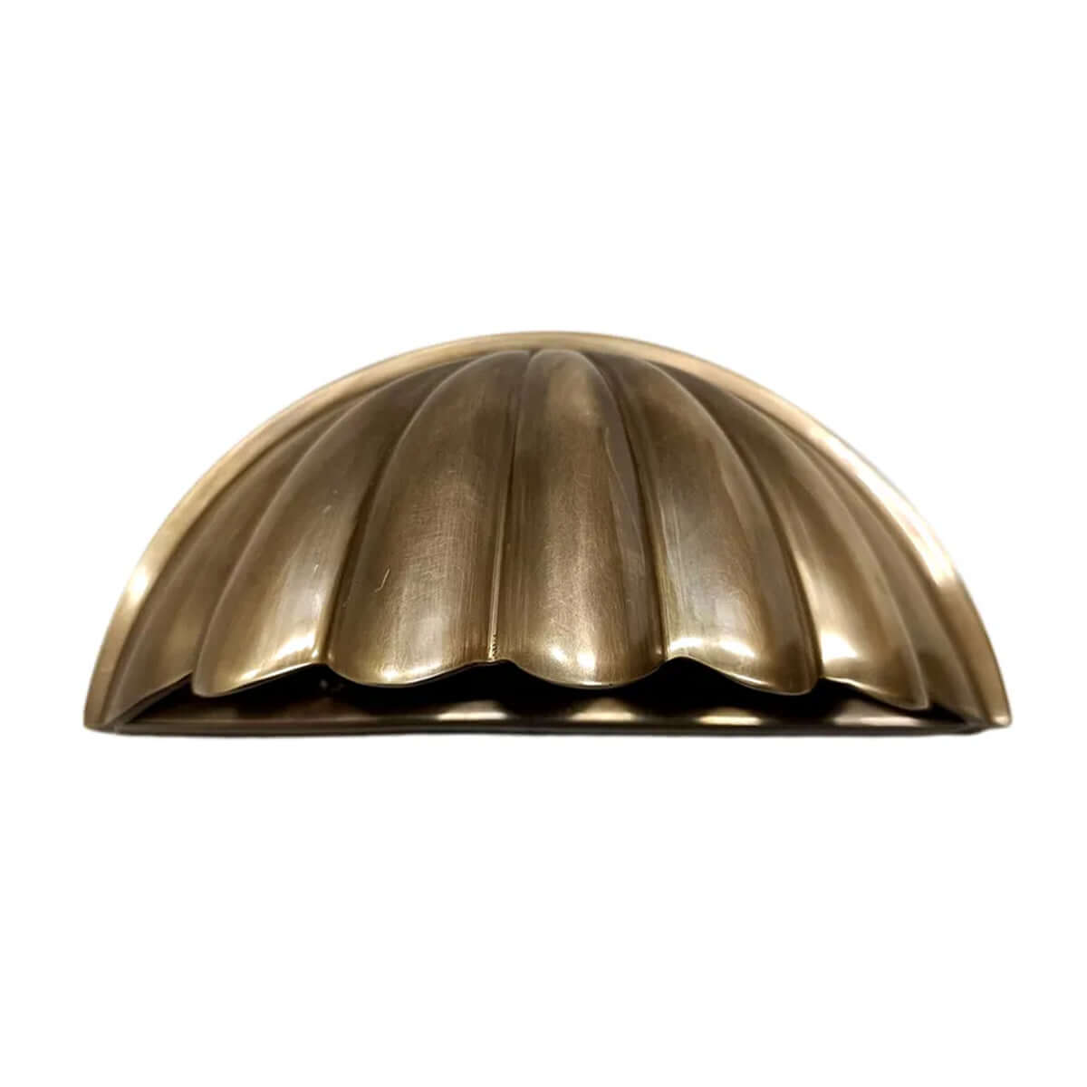 Scallop Wall Light