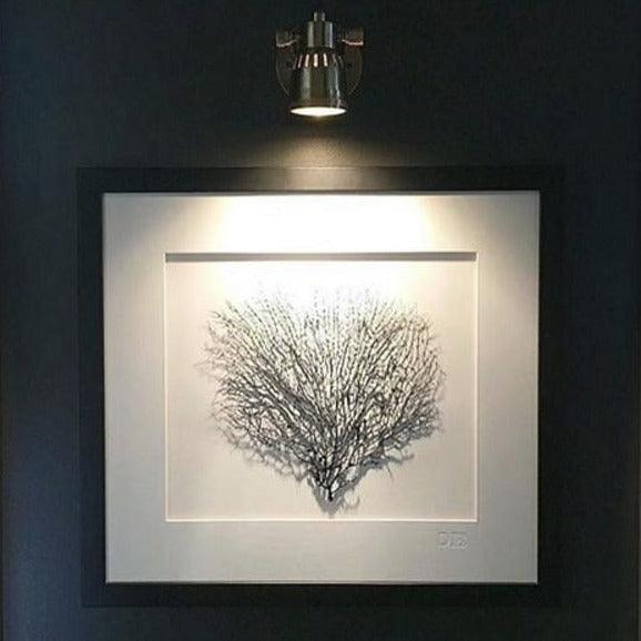 Houston Long Arm Wall Lamp at Murano Plus, Lighting Specialists in Auckland