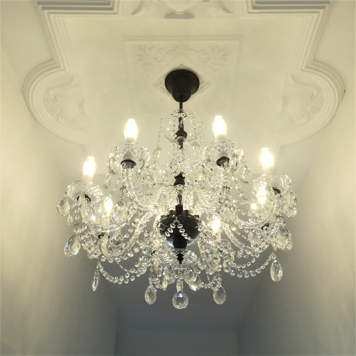Premium quality crystal chandelier hanging from ornate plaster ceiling