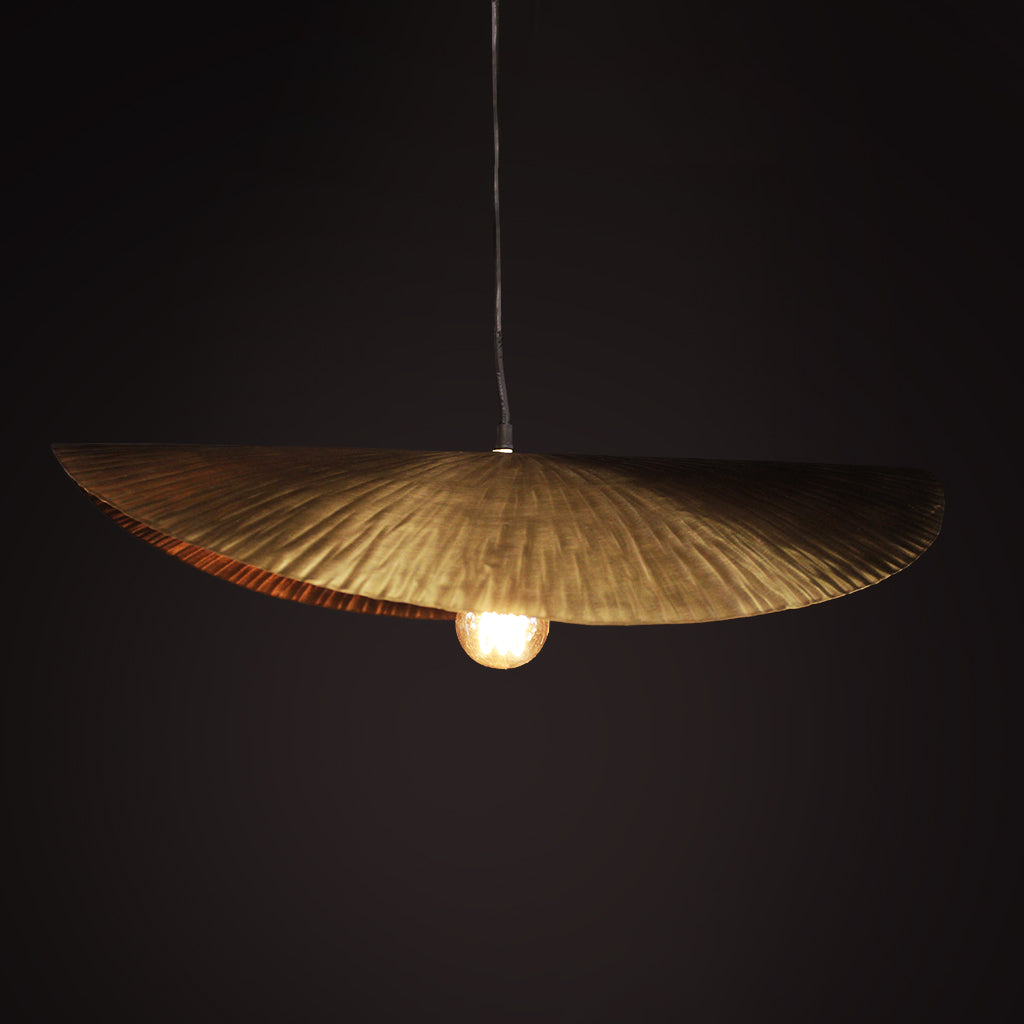 Decorative pendant light with leaf-like design and illuminated bulb against a dark background