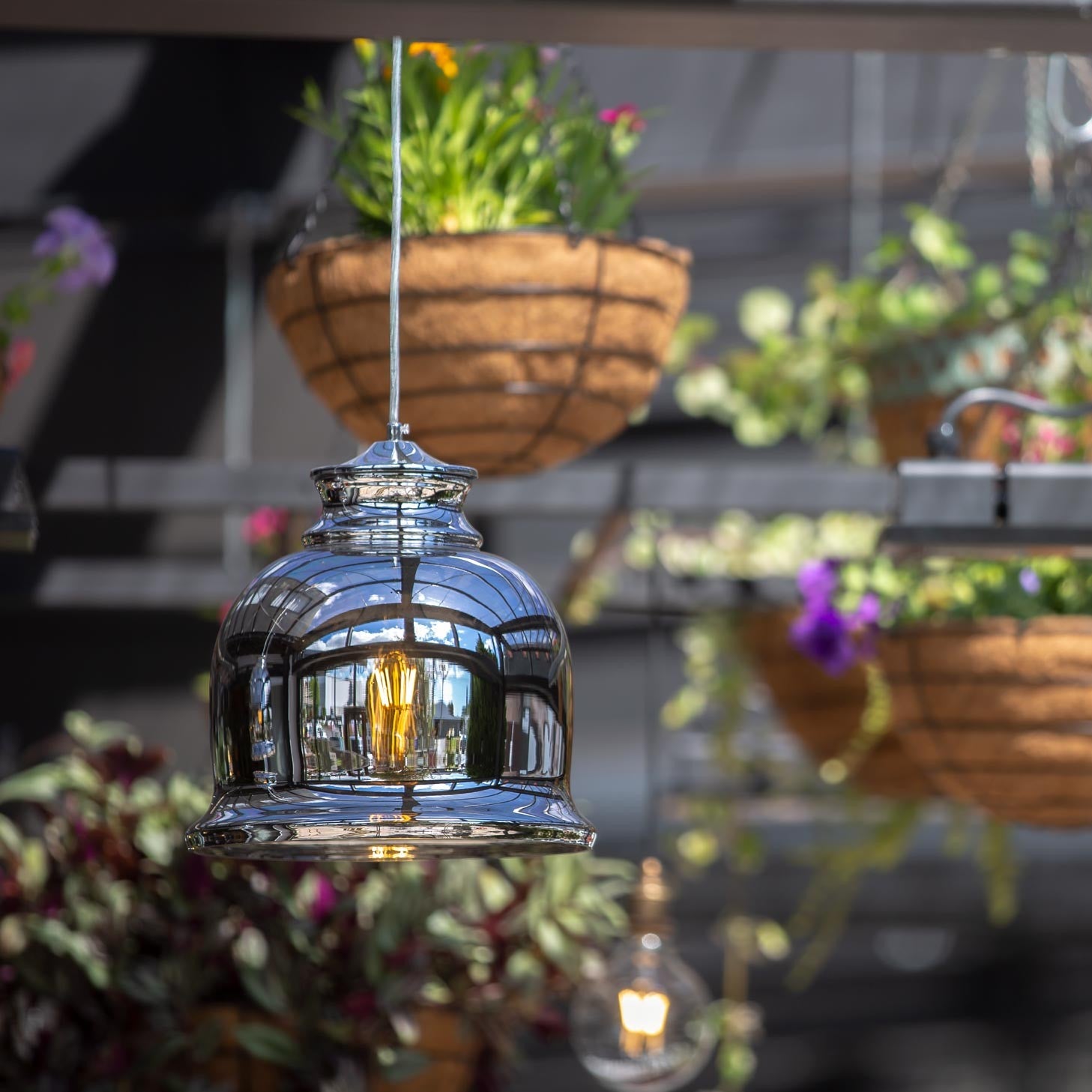 Hanging glass lantern with plants in the background