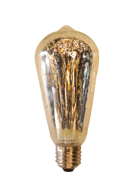 Silver decorative T64 E27 Light Bulb