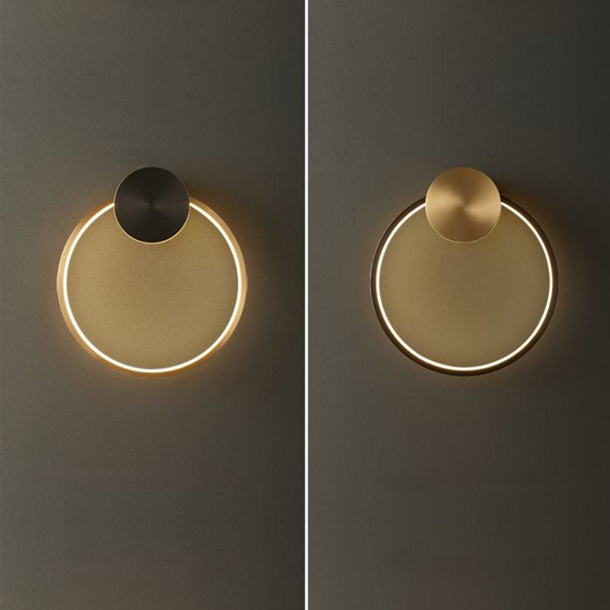 Zanna Wall Light