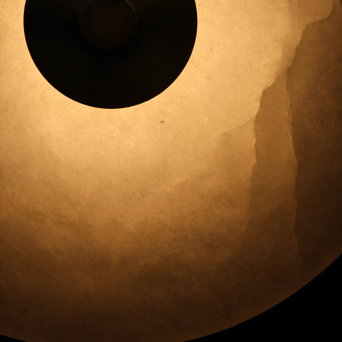 Edulis Wall Light