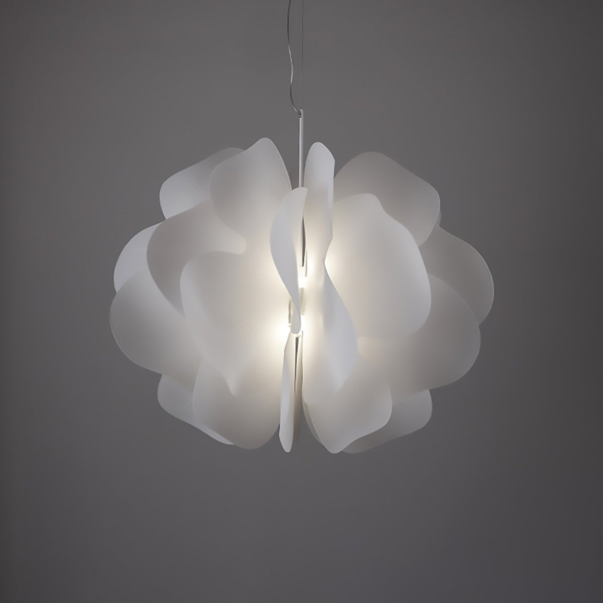 Delphi Pendant at Murano Plus, Lighting Specialists in Auckland