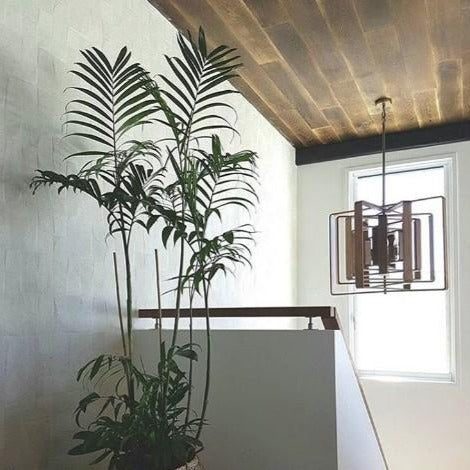 Floyd Pendant at Murano Plus, Lighting Specialists in Auckland