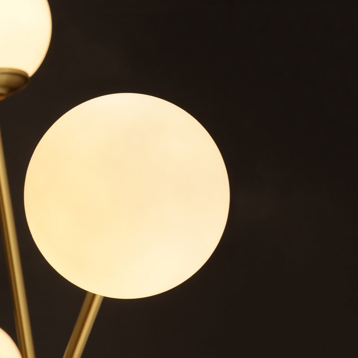 Vera Pendant at Murano Plus, Lighting Specialists in Auckland