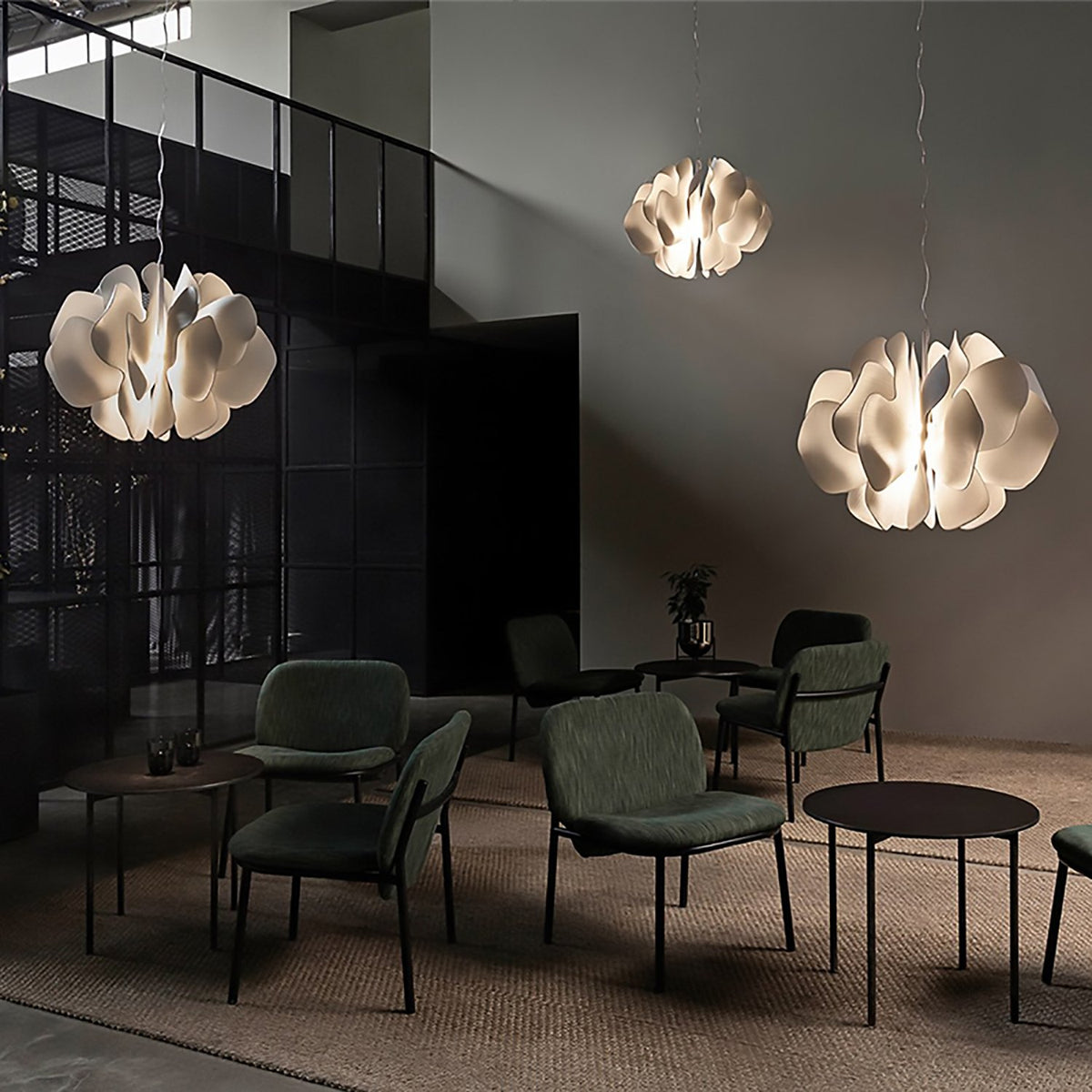 Delphi Pendant at Murano Plus, Lighting Specialists in Auckland