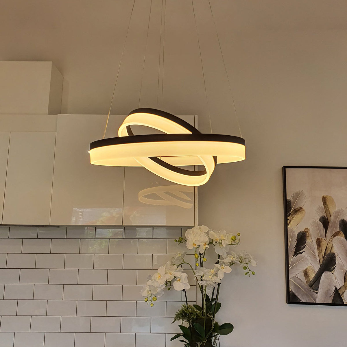 Halo  at Murano Plus, Lighting Specialists in Auckland