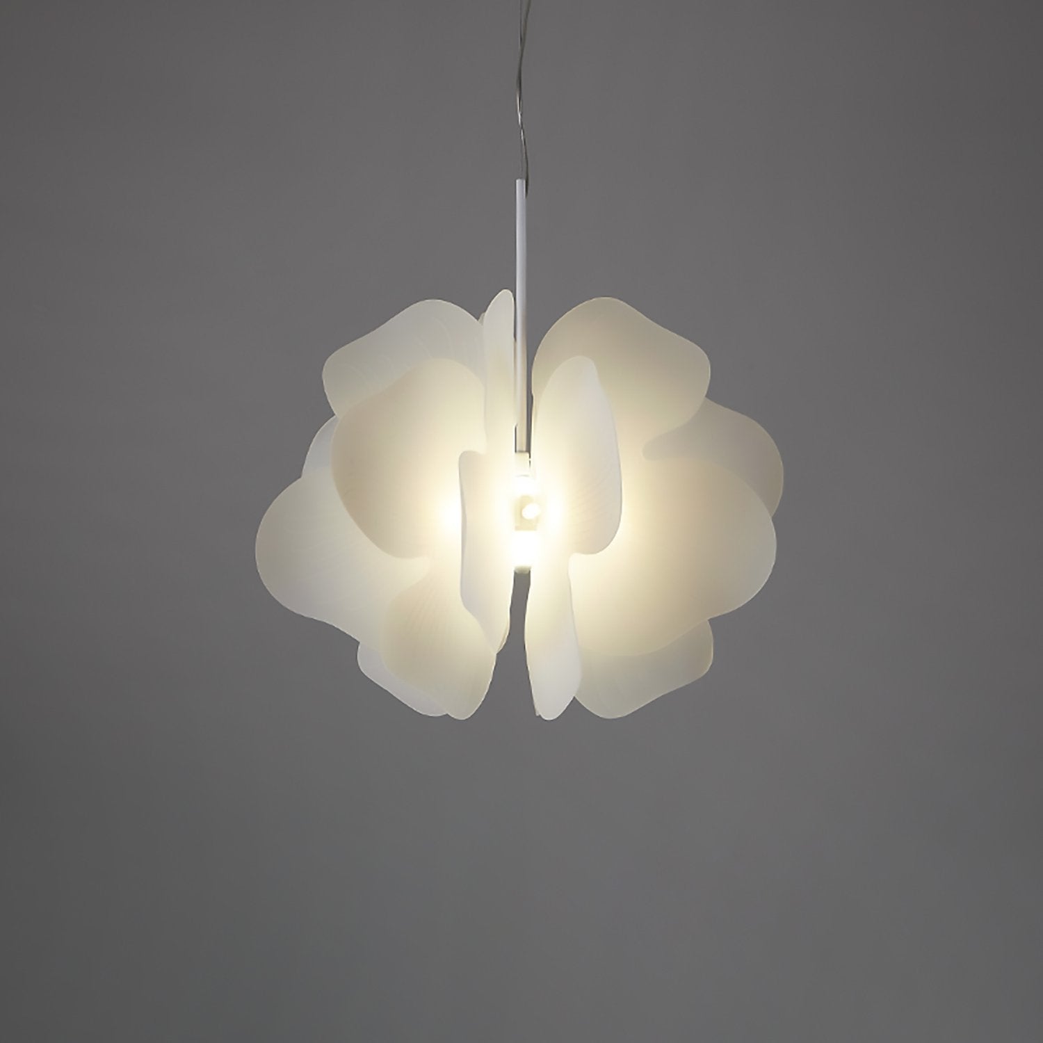 Delphi Pendant at Murano Plus, Lighting Specialists in Auckland